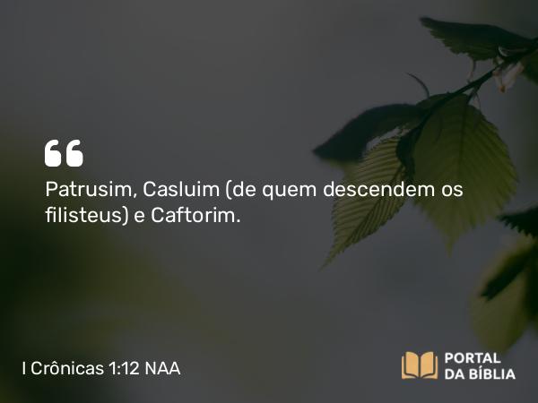 I Crônicas 1:12 NAA - Patrusim, Casluim (de quem descendem os filisteus) e Caftorim.