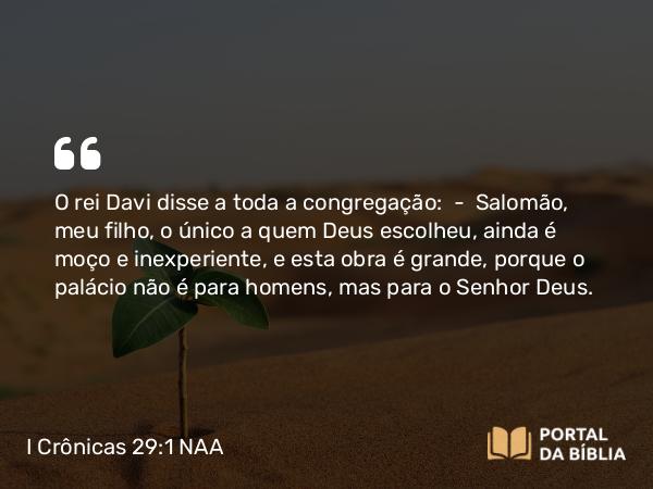 I Crônicas 29:1 NAA - O rei Davi disse a toda a congregação: — Salomão, meu filho, o único a quem Deus escolheu, ainda é moço e inexperiente, e esta obra é grande, porque o palácio não é para homens, mas para o Senhor Deus.