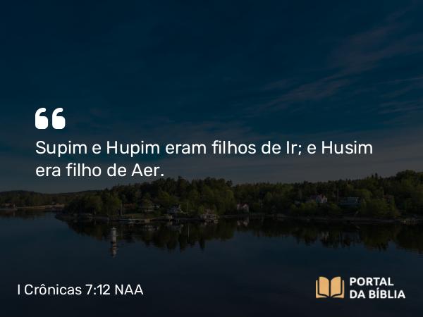 I Crônicas 7:12 NAA - Supim e Hupim eram filhos de Ir; e Husim era filho de Aer.