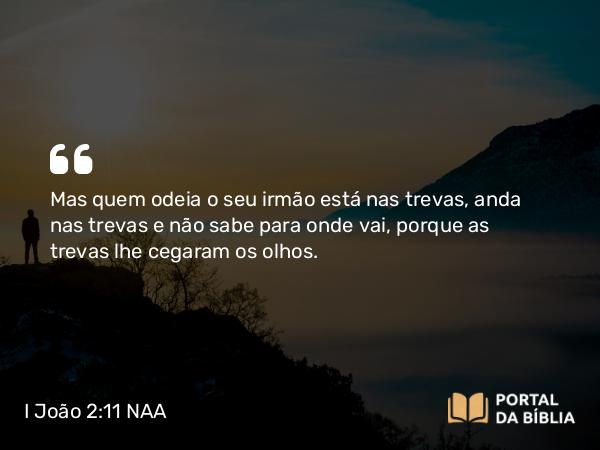 I João 2:11 NAA - Mas quem odeia o seu irmão está nas trevas, anda nas trevas e não sabe para onde vai, porque as trevas lhe cegaram os olhos.