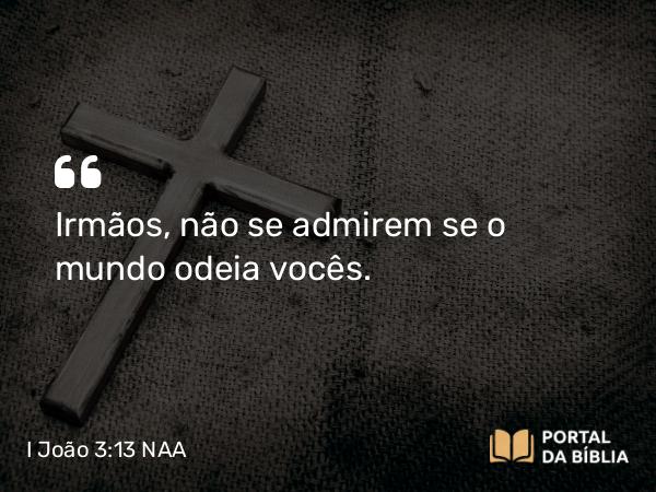 I João 3:13 NAA - Irmãos, não se admirem se o mundo odeia vocês.