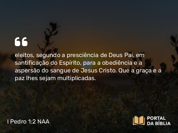 I Pedro 1:2 NAA - eleitos, segundo a presciência de Deus Pai, em santificação do Espírito, para a obediência e a aspersão do sangue de Jesus Cristo. Que a graça e a paz lhes sejam multiplicadas.