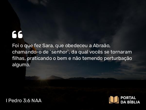 I Pedro 3:6 NAA - Foi o que fez Sara, que obedeceu a Abraão, chamando-o de 