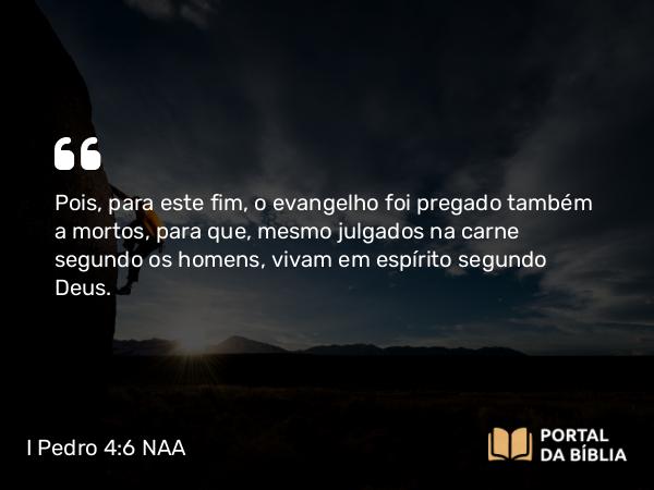 I Pedro 4:6 NAA - Pois, para este fim, o evangelho foi pregado também a mortos, para que, mesmo julgados na carne segundo os homens, vivam em espírito segundo Deus.