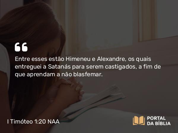 I Timóteo 1:20 NAA - Entre esses estão Himeneu e Alexandre, os quais entreguei a Satanás para serem castigados, a fim de que aprendam a não blasfemar.