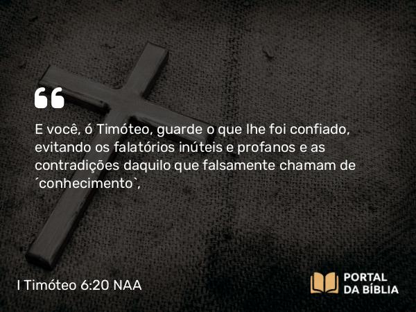 I Timóteo 6:20-21 NAA - E você, ó Timóteo, guarde o que lhe foi confiado, evitando os falatórios inúteis e profanos e as contradições daquilo que falsamente chamam de 