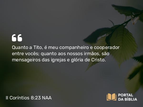 II Coríntios 8:23 NAA - Quanto a Tito, é meu companheiro e cooperador entre vocês; quanto aos nossos irmãos, são mensageiros das igrejas e glória de Cristo.