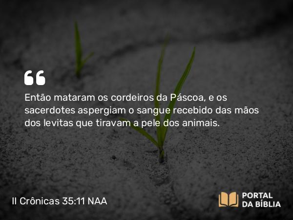 II Crônicas 35:11 NAA - Então mataram os cordeiros da Páscoa, e os sacerdotes aspergiam o sangue recebido das mãos dos levitas que tiravam a pele dos animais.