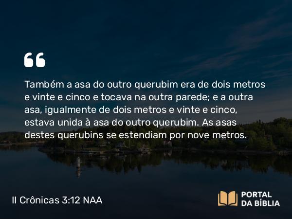 II Crônicas 3:12 NAA - Também a asa do outro querubim era de dois metros e vinte e cinco e tocava na outra parede; e a outra asa, igualmente de dois metros e vinte e cinco, estava unida à asa do outro querubim. As asas destes querubins se estendiam por nove metros.