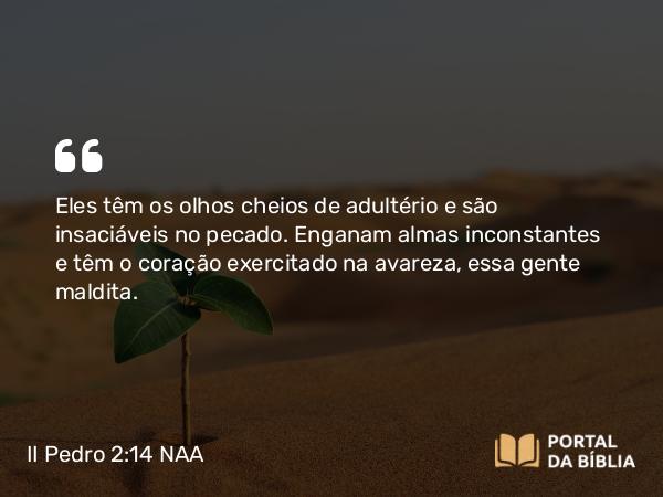 II Pedro 2:14-15 NAA - Eles têm os olhos cheios de adultério e são insaciáveis no pecado. Enganam almas inconstantes e têm o coração exercitado na avareza, essa gente maldita.