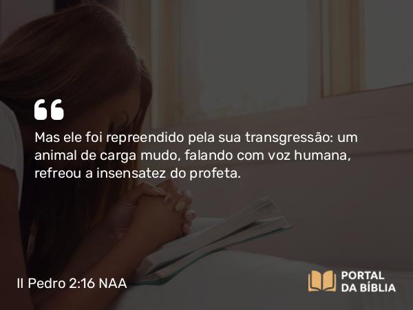 II Pedro 2:16 NAA - Mas ele foi repreendido pela sua transgressão: um animal de carga mudo, falando com voz humana, refreou a insensatez do profeta.