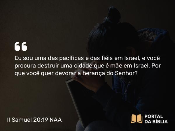 II Samuel 20:19 NAA - Eu sou uma das pacíficas e das fiéis em Israel, e você procura destruir uma cidade que é mãe em Israel. Por que você quer devorar a herança do Senhor?