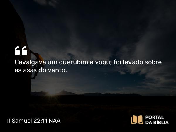 II Samuel 22:11 NAA - Cavalgava um querubim e voou; foi levado sobre as asas do vento.