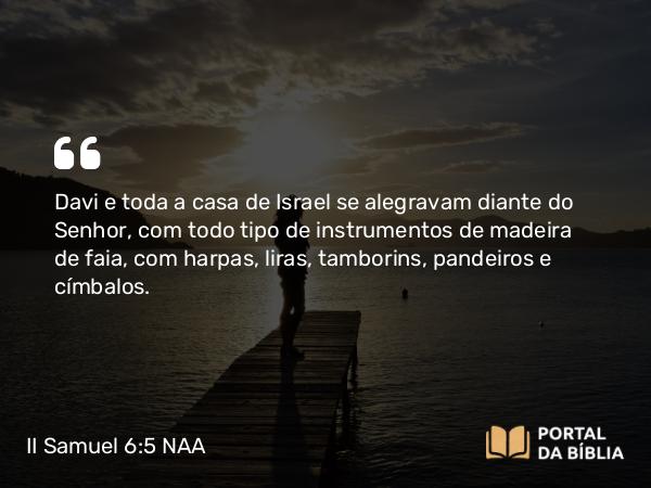 II Samuel 6:5 NAA - Davi e toda a casa de Israel se alegravam diante do Senhor, com todo tipo de instrumentos de madeira de faia, com harpas, liras, tamborins, pandeiros e címbalos.