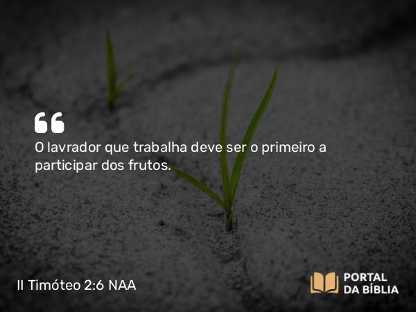 II Timóteo 2:6 NAA - O lavrador que trabalha deve ser o primeiro a participar dos frutos.