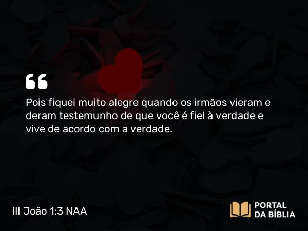 III João 1:3 NAA - Pois fiquei muito alegre quando os irmãos vieram e deram testemunho de que você é fiel à verdade e vive de acordo com a verdade.