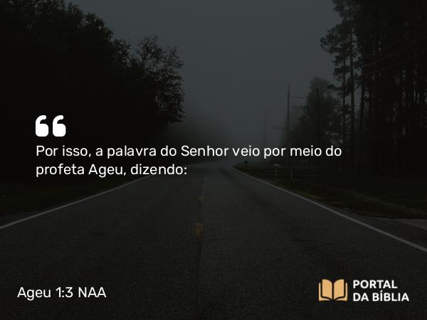 Ageu 1:3 NAA - Por isso, a palavra do Senhor veio por meio do profeta Ageu, dizendo: