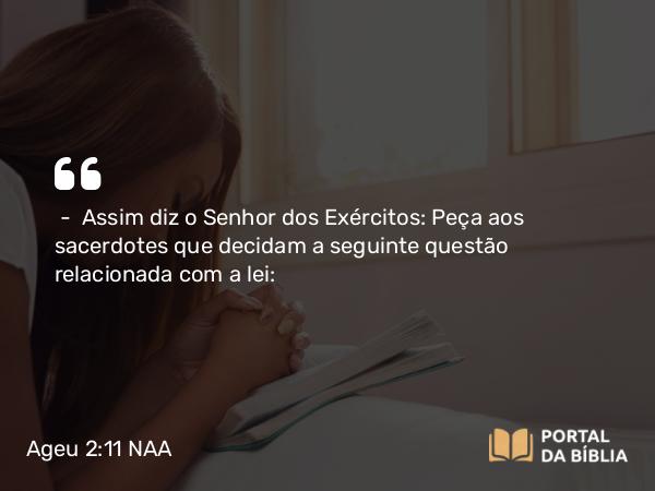 Ageu 2:11 NAA - — Assim diz o Senhor dos Exércitos: Peça aos sacerdotes que decidam a seguinte questão relacionada com a lei: