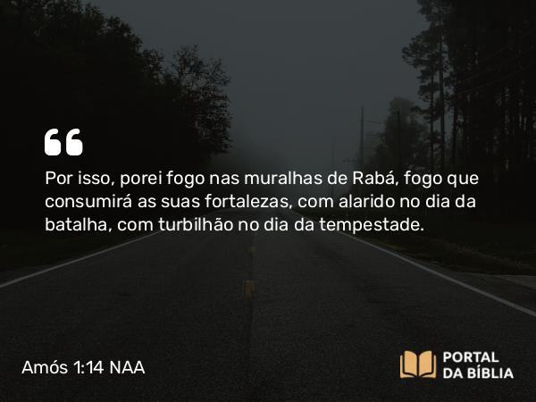 Amós 1:14 NAA - Por isso, porei fogo nas muralhas de Rabá, fogo que consumirá as suas fortalezas, com alarido no dia da batalha, com turbilhão no dia da tempestade.