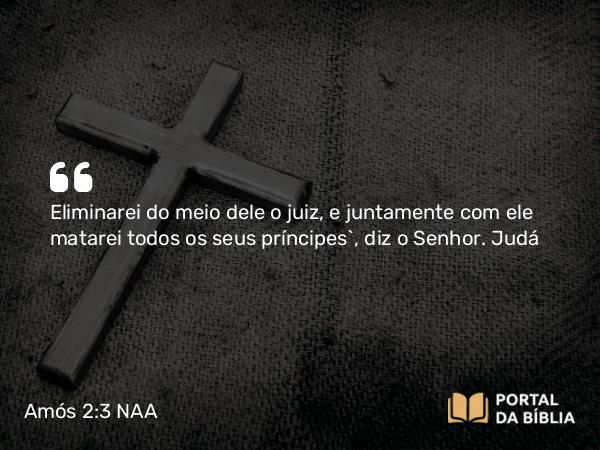 Amós 2:3 NAA - Eliminarei do meio dele o juiz, e juntamente com ele matarei todos os seus príncipes