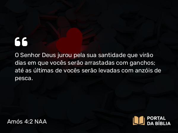 Amós 4:2 NAA - O Senhor Deus jurou pela sua santidade que virão dias em que vocês serão arrastadas com ganchos; até as últimas de vocês serão levadas com anzóis de pesca.