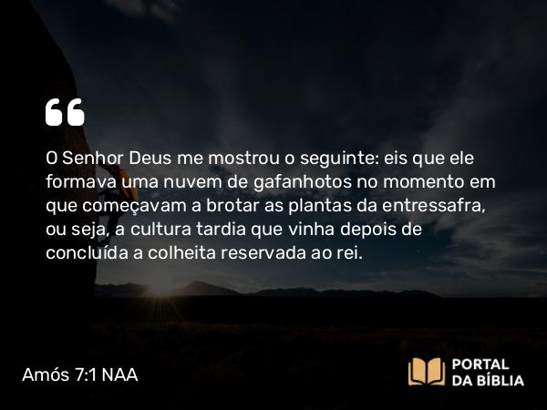 Amós 7:1 NAA - O Senhor Deus me mostrou o seguinte: eis que ele formava uma nuvem de gafanhotos no momento em que começavam a brotar as plantas da entressafra, ou seja, a cultura tardia que vinha depois de concluída a colheita reservada ao rei.