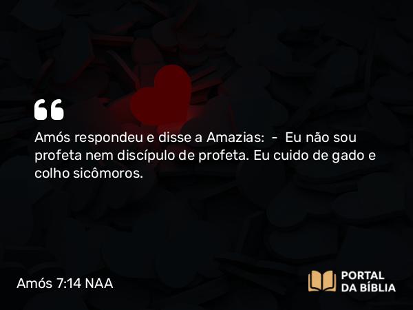 Amós 7:14 NAA - Amós respondeu e disse a Amazias: — Eu não sou profeta nem discípulo de profeta. Eu cuido de gado e colho sicômoros.