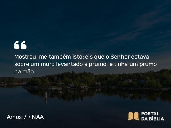 Amós 7:7-8 NAA - Mostrou-me também isto: eis que o Senhor estava sobre um muro levantado a prumo, e tinha um prumo na mão.