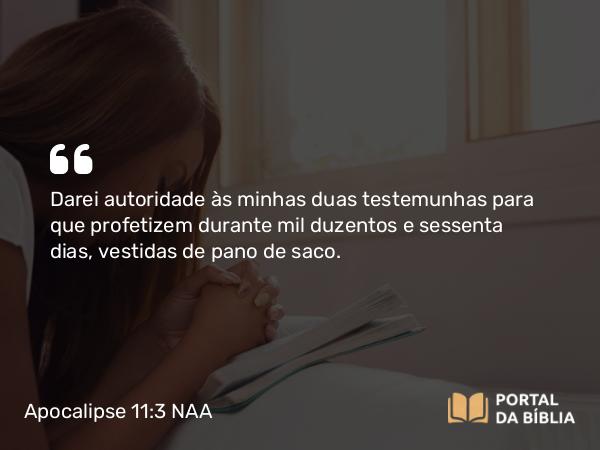 Apocalipse 11:3 NAA - Darei autoridade às minhas duas testemunhas para que profetizem durante mil duzentos e sessenta dias, vestidas de pano de saco.