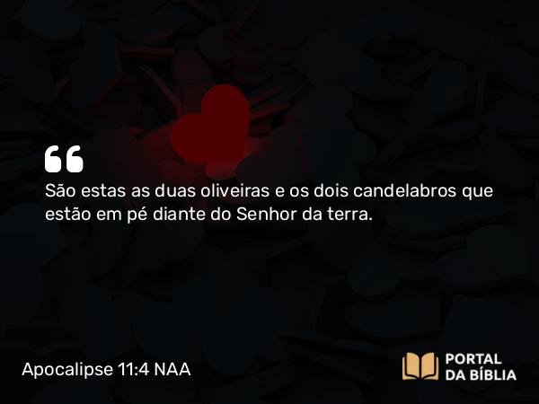 Apocalipse 11:4 NAA - São estas as duas oliveiras e os dois candelabros que estão em pé diante do Senhor da terra.