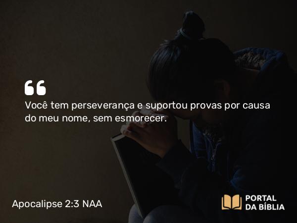 Apocalipse 2:3 NAA - Você tem perseverança e suportou provas por causa do meu nome, sem esmorecer.