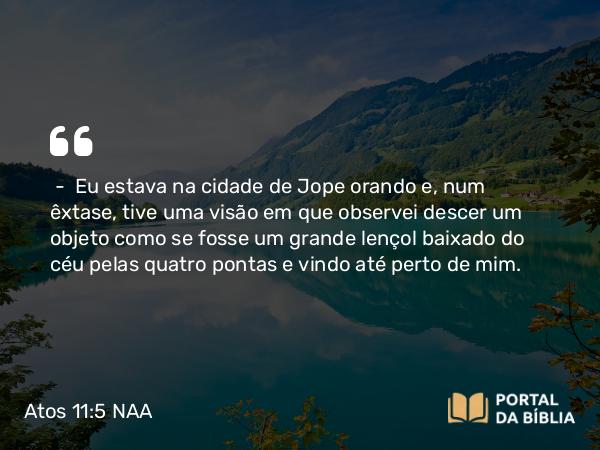 Atos 11:5 NAA - — Eu estava na cidade de Jope orando e, num êxtase, tive uma visão em que observei descer um objeto como se fosse um grande lençol baixado do céu pelas quatro pontas e vindo até perto de mim.