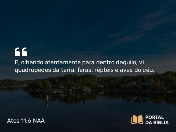 Atos 11:6 NAA - E, olhando atentamente para dentro daquilo, vi quadrúpedes da terra, feras, répteis e aves do céu.