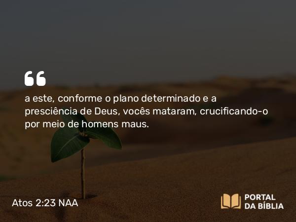 Atos 2:23 NAA - a este, conforme o plano determinado e a presciência de Deus, vocês mataram, crucificando-o por meio de homens maus.