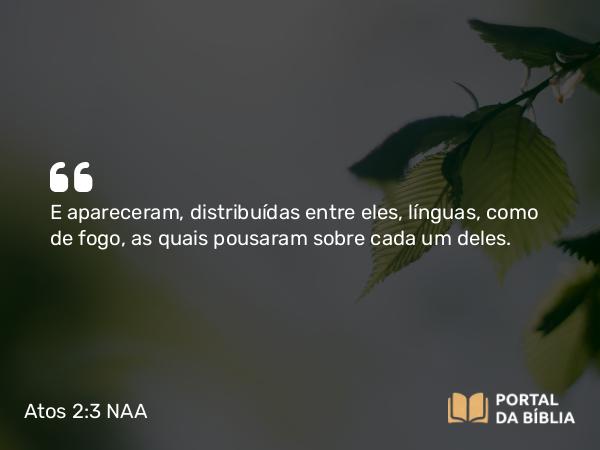 Atos 2:3 NAA - E apareceram, distribuídas entre eles, línguas, como de fogo, as quais pousaram sobre cada um deles.