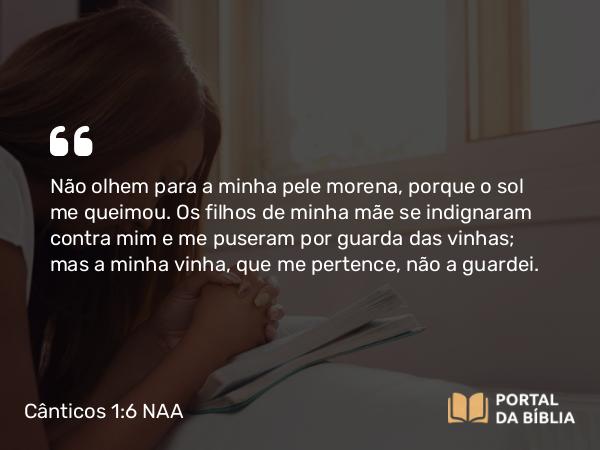 Cânticos 1:6 NAA - Não olhem para a minha pele morena, porque o sol me queimou. Os filhos de minha mãe se indignaram contra mim e me puseram por guarda das vinhas; mas a minha vinha, que me pertence, não a guardei.