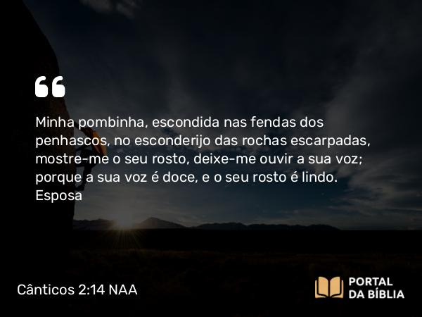 Cânticos 2:14 NAA - Minha pombinha, escondida nas fendas dos penhascos, no esconderijo das rochas escarpadas, mostre-me o seu rosto, deixe-me ouvir a sua voz; porque a sua voz é doce, e o seu rosto é lindo.