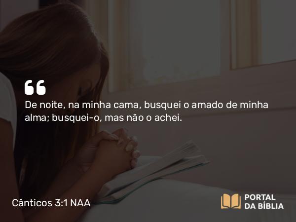 Cânticos 3:1 NAA - De noite, na minha cama, busquei o amado de minha alma; busquei-o, mas não o achei.