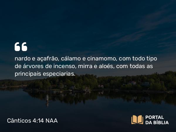 Cânticos 4:14 NAA - nardo e açafrão, cálamo e cinamomo, com todo tipo de árvores de incenso, mirra e aloés, com todas as principais especiarias.