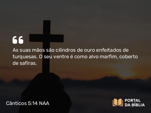 Cânticos 5:14 NAA - As suas mãos são cilindros de ouro enfeitados de turquesas. O seu ventre é como alvo marfim, coberto de safiras.