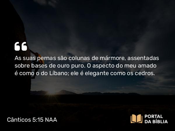 Cânticos 5:15 NAA - As suas pernas são colunas de mármore, assentadas sobre bases de ouro puro. O aspecto do meu amado é como o do Líbano; ele é elegante como os cedros.