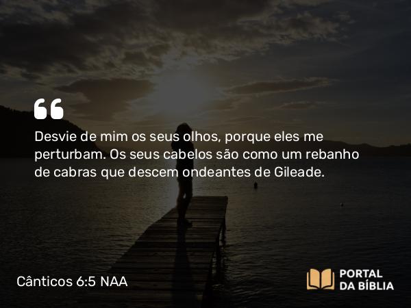 Cânticos 6:5 NAA - Desvie de mim os seus olhos, porque eles me perturbam. Os seus cabelos são como um rebanho de cabras que descem ondeantes de Gileade.