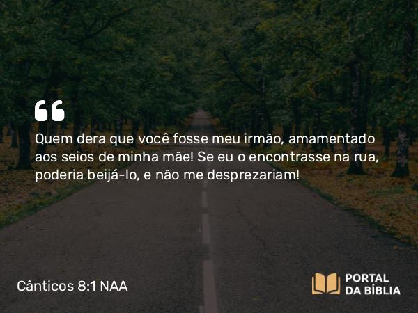 Cânticos 8:1 NAA - Quem dera que você fosse meu irmão, amamentado aos seios de minha mãe! Se eu o encontrasse na rua, poderia beijá-lo, e não me desprezariam!