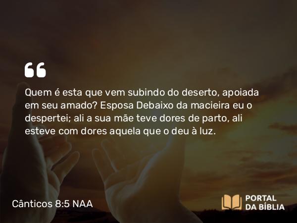 Cânticos 8:5 NAA - Quem é esta que vem subindo do deserto, apoiada em seu amado? Debaixo da macieira eu o despertei; ali a sua mãe teve dores de parto, ali esteve com dores aquela que o deu à luz.