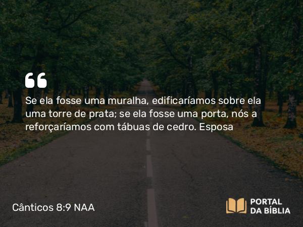 Cânticos 8:9 NAA - Se ela fosse uma muralha, edificaríamos sobre ela uma torre de prata; se ela fosse uma porta, nós a reforçaríamos com tábuas de cedro.