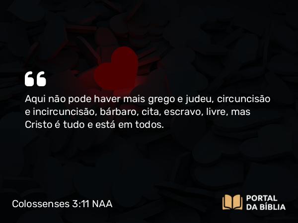 Colossenses 3:11 NAA - Aqui não pode haver mais grego e judeu, circuncisão e incircuncisão, bárbaro, cita, escravo, livre, mas Cristo é tudo e está em todos.