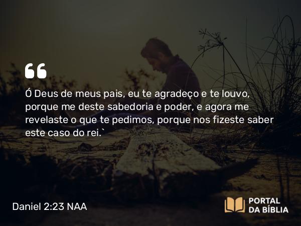 Daniel 2:23 NAA - Ó Deus de meus pais, eu te agradeço e te louvo, porque me deste sabedoria e poder, e agora me revelaste o que te pedimos, porque nos fizeste saber este caso do rei.