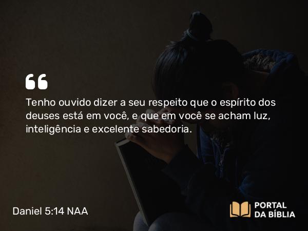 Daniel 5:14 NAA - Tenho ouvido dizer a seu respeito que o espírito dos deuses está em você, e que em você se acham luz, inteligência e excelente sabedoria.