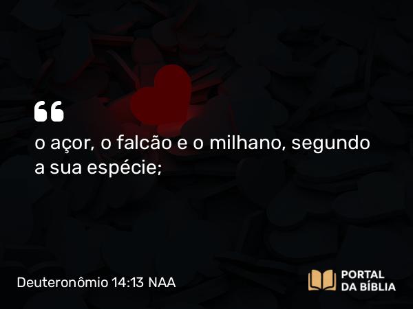 Deuteronômio 14:13 NAA - o açor, o falcão e o milhano, segundo a sua espécie;