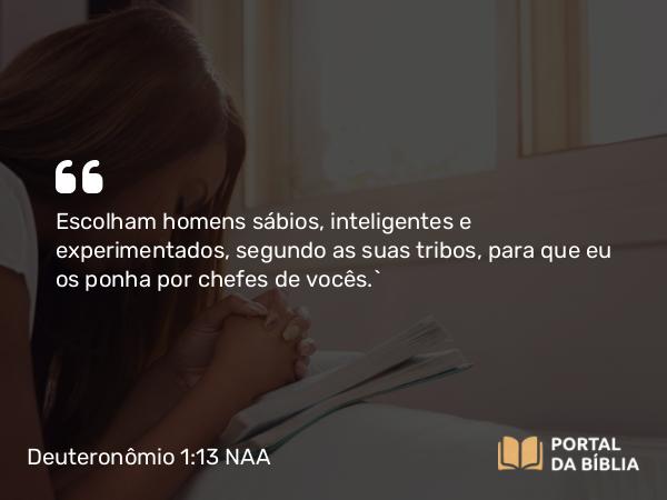 Deuteronômio 1:13 NAA - Escolham homens sábios, inteligentes e experimentados, segundo as suas tribos, para que eu os ponha por chefes de vocês.